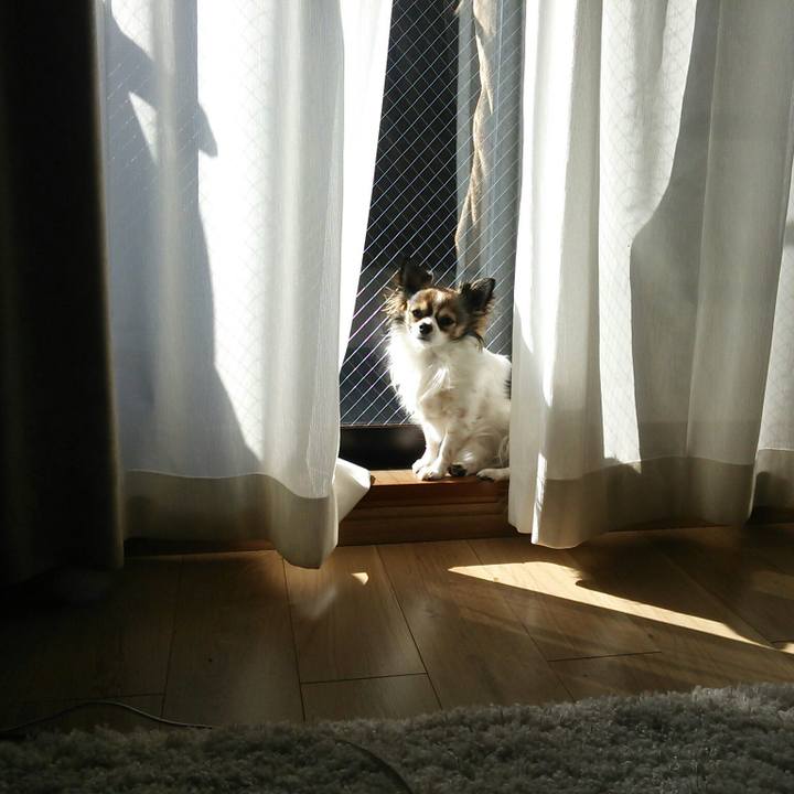 672132fc 55a8 48e3 8c58 7d3ab6611ccb