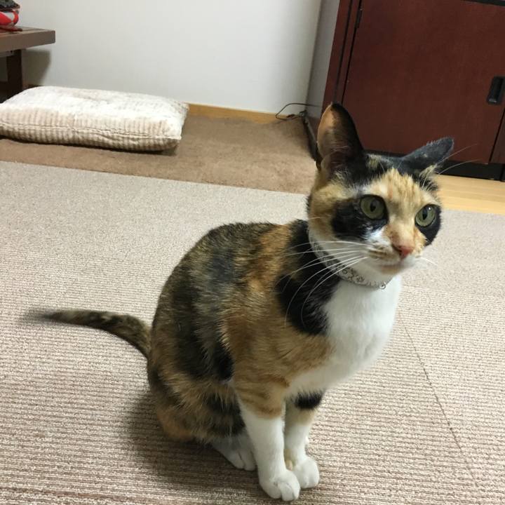 67216a40 c2b3 42fa 8448 cb6d22e041cf