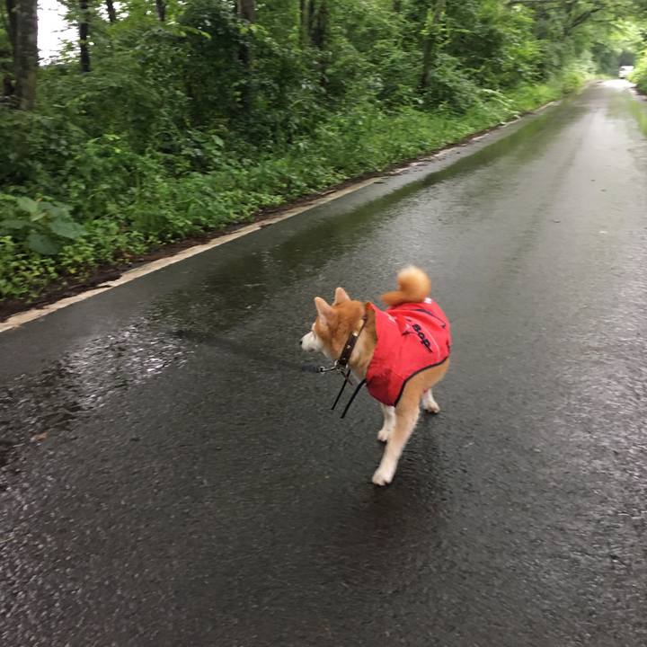 67217890 fb81 45d2 8596 3c0e6cccce56