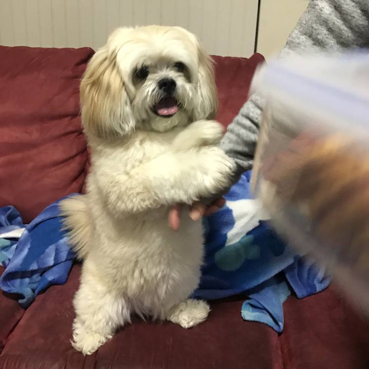 6721d2b6 0c91 441c 94eb 2743a2d9ed31