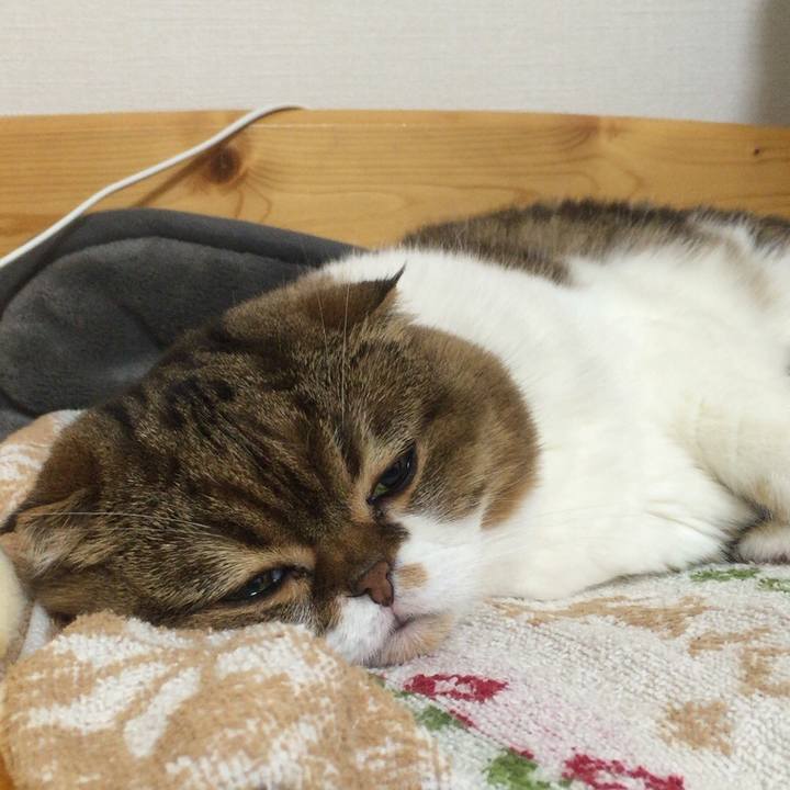 67224490 fc3a 46a3 927c 81625d893f4c