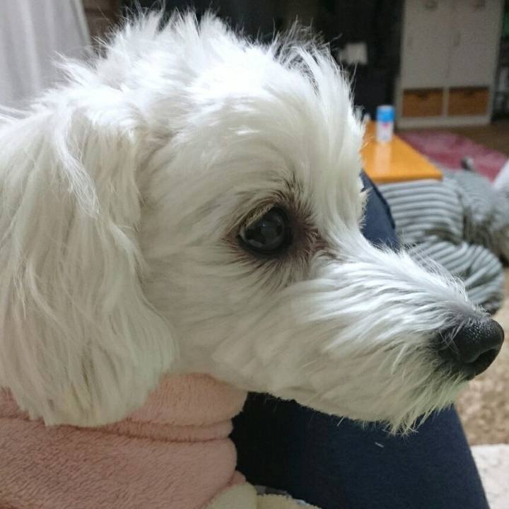 6723014a 601e 4623 8493 40fd9411e8b1