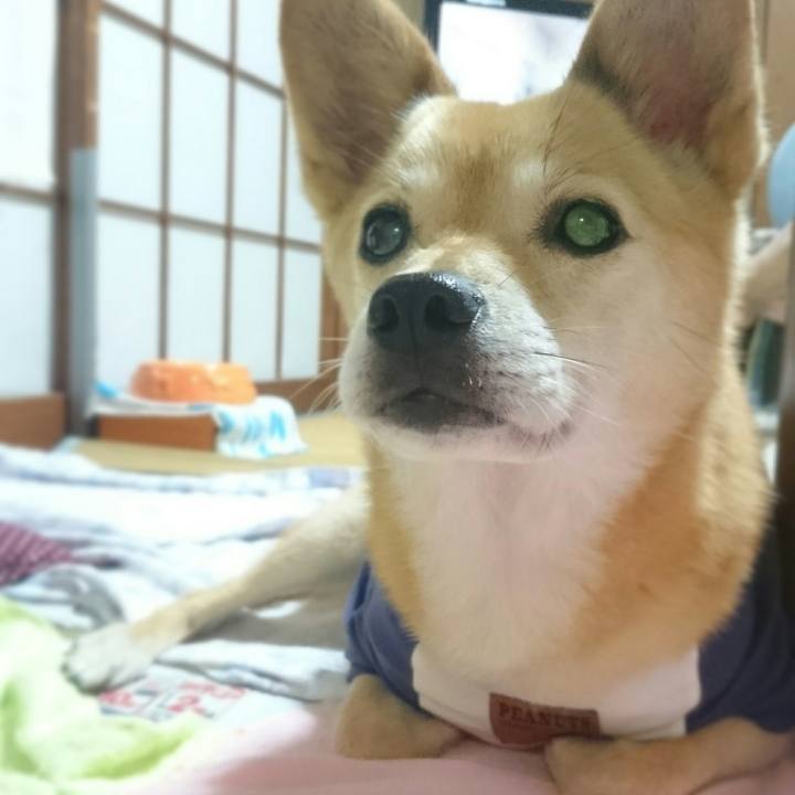 6723a10a e446 4ef0 906d 8ae078e4959f