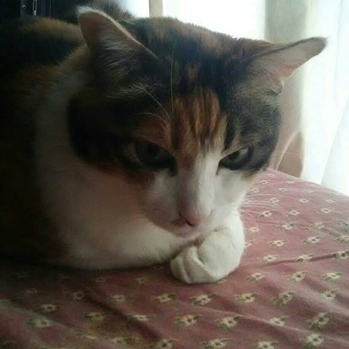 6723ce56 2e51 4fd2 b30d 101e5faff40d