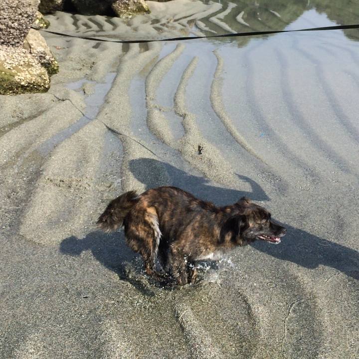 6723e19d 5145 4a42 a9b6 a9f87a3ed92e