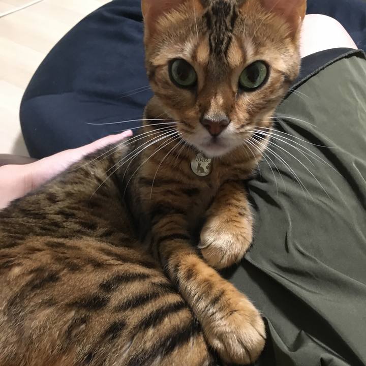 6724af9c 228c 49dc be85 98f2d6e82764