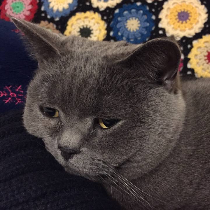 67259edf 88bf 4182 9029 d09f3332fe45