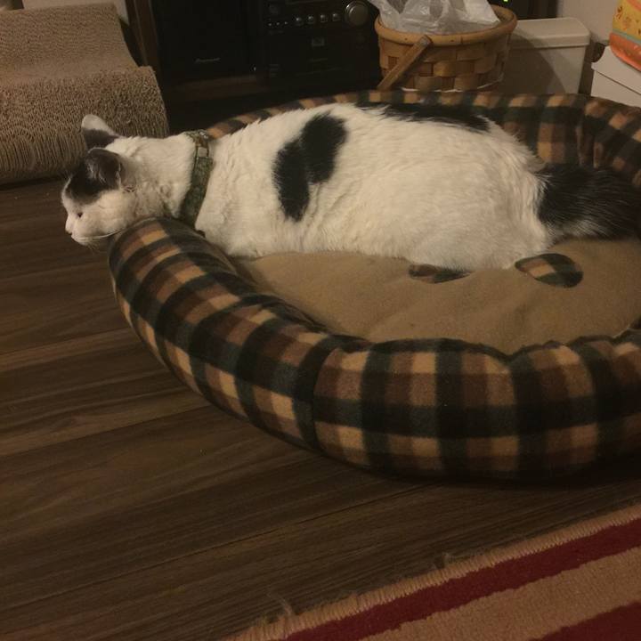 6725b45a 64f5 4e13 8a41 a89c546f91b7