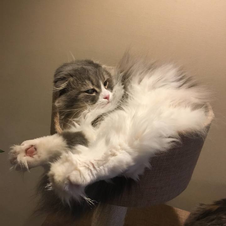 6725bc04 9672 4357 bd03 28273c2901be