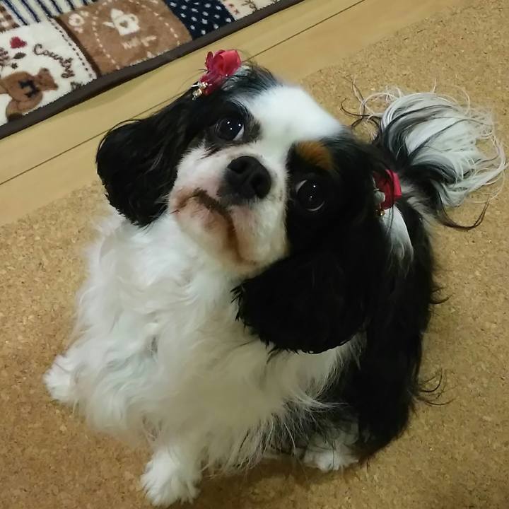 67261182 a1de 461a 9329 548f10f9331f