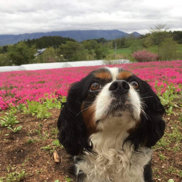 67262234 f26a 4571 b368 cf7e69ff9924