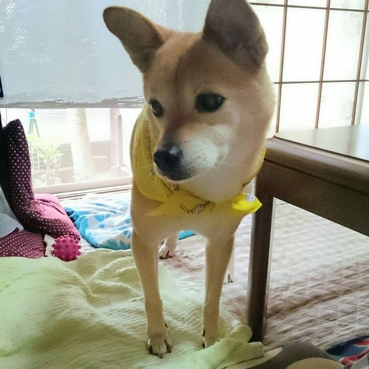 6726676a 3d75 48d0 921b 513210db6b4a