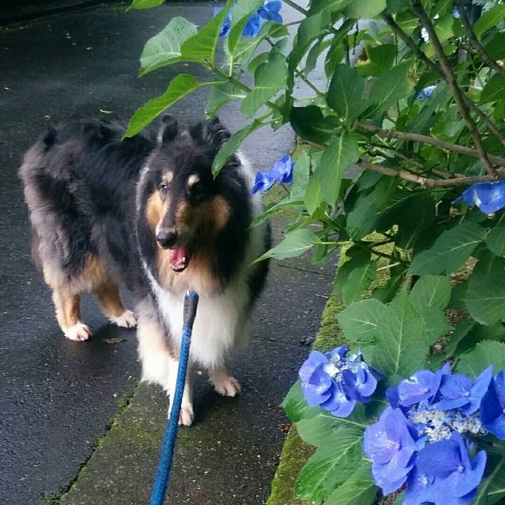 67267f6d 04aa 4004 9735 fc3ec1196519