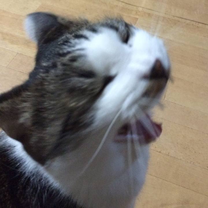 6728487e ed5b 4278 9ba7 c70e94e6d722