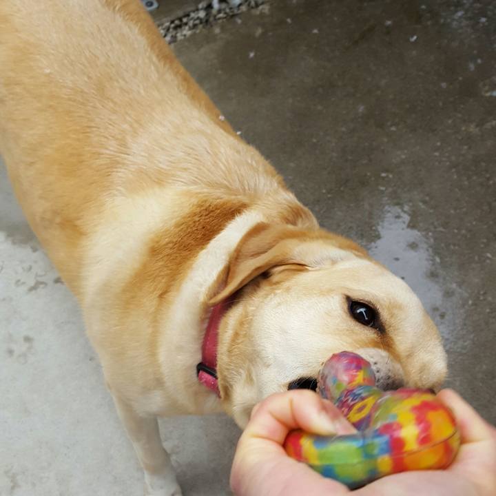 67284b68 fc55 420c 9c9f 174d8aaa0c4e