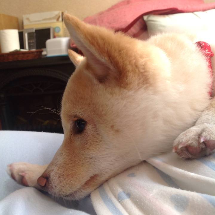 67285e78 abe6 4978 98bc 3edd0c4bda82