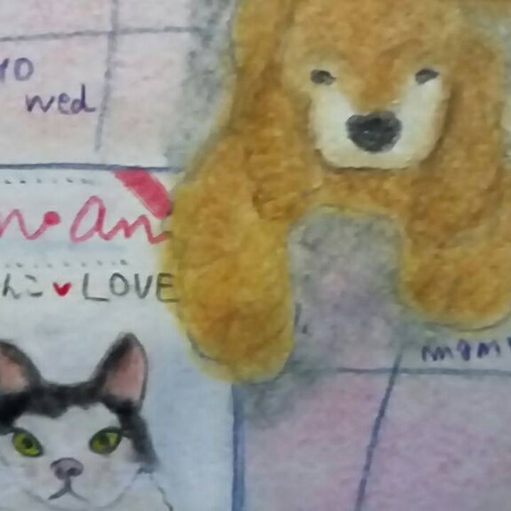 672903d5 70fe 49cd 8cfc 1f731b581ac2