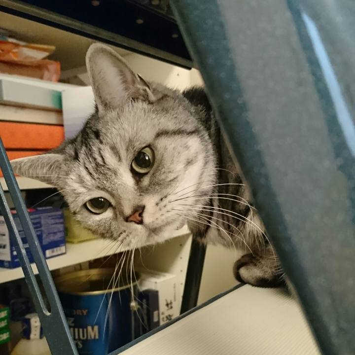 672935e4 dc4d 4d01 a514 a0976393c8a2