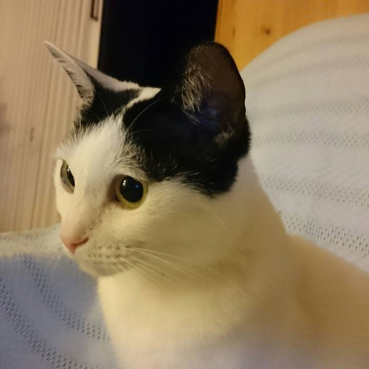 672a63cc 16c3 4770 8294 1019d08e39d1