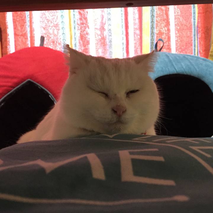 672afa06 bd74 4eef b27e 1ff5d76bf4b9