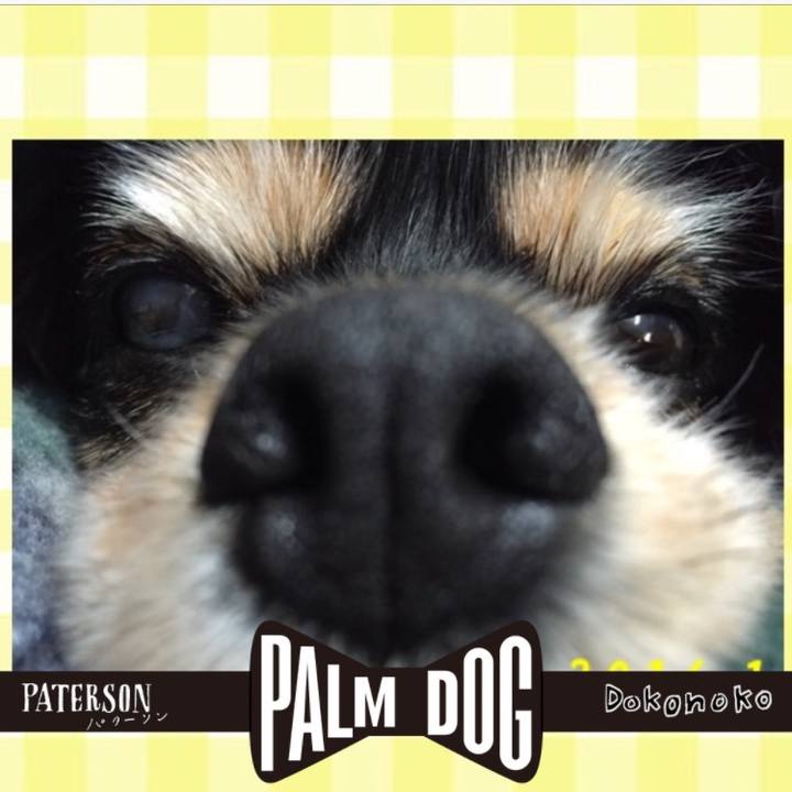 672b033f 88bf 499a bd2d 787680b59e5f