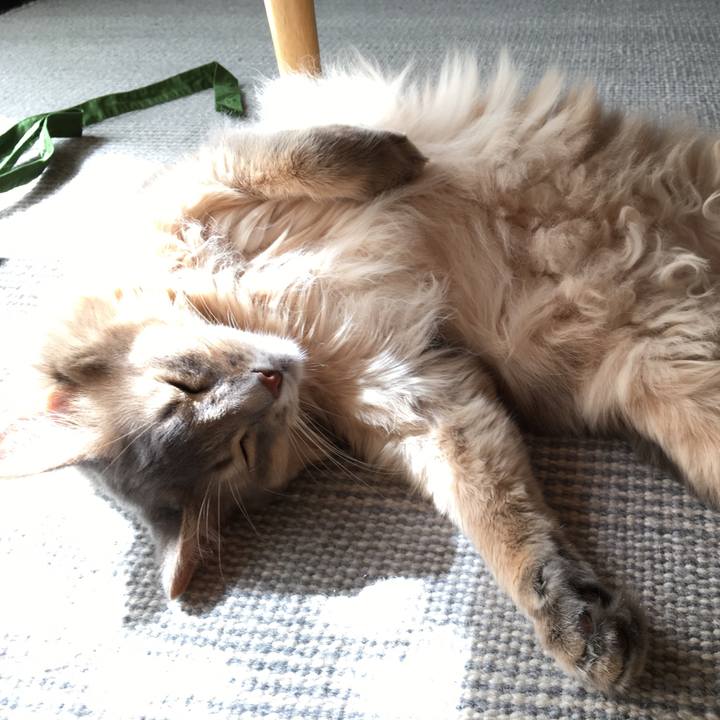 672b0b5d d6ac 44ea ae64 ff06196c7459