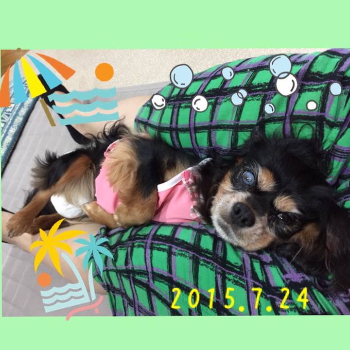 672b2127 b369 41cd a6be 2e127f6b90ba