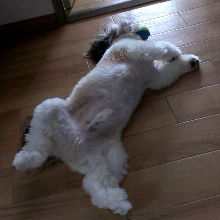 672c0859 50d7 477e b4e8 44a0a18f9395