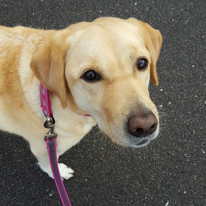 672c83d5 f2cc 4956 8dab 6f9533fb7a24