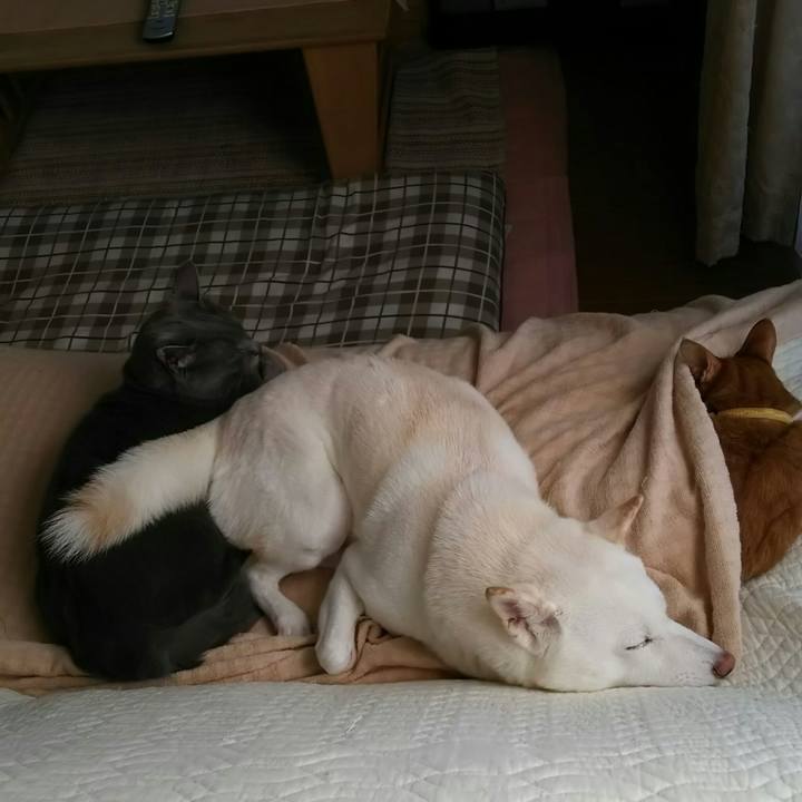 672ca19a 7696 4fe4 a868 cf7e9b524b64