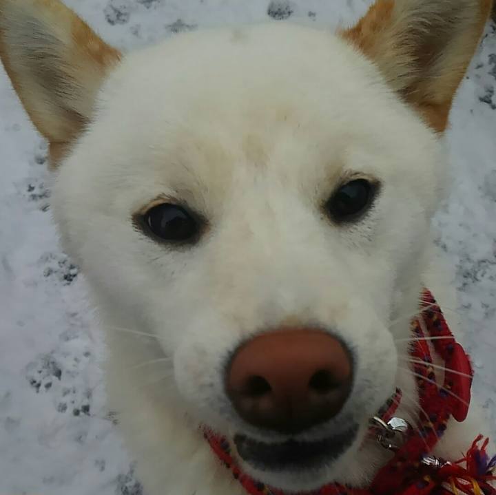 672cb737 50b9 4472 84c1 99a5ec5cac81