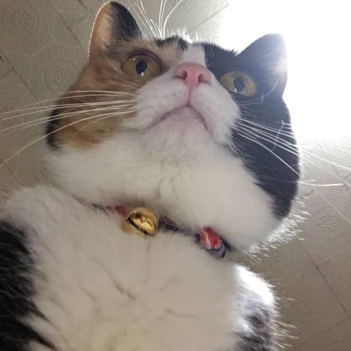 672cc305 e84c 4534 9f10 119c2b3133e3