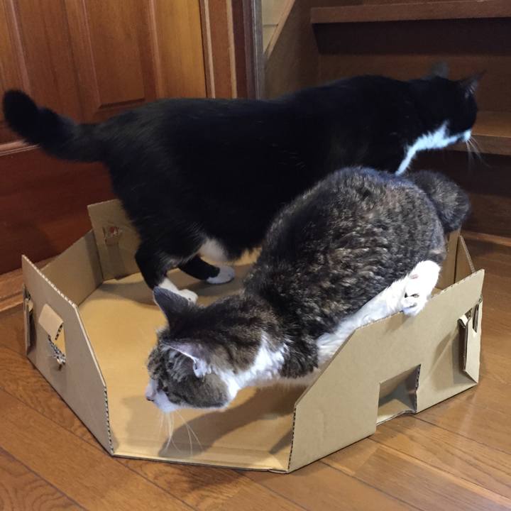 672cf554 fc7a 4dd5 bac1 fba542a056df