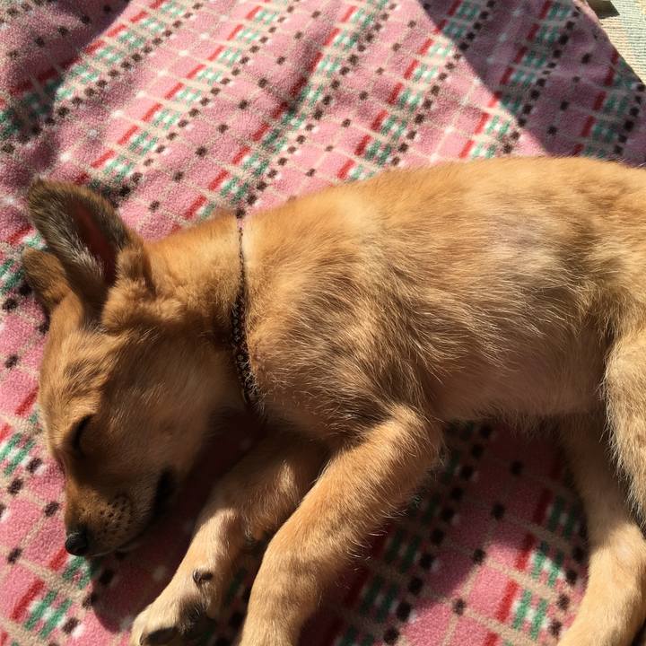 672cfe85 5d61 4411 837b 382527288557