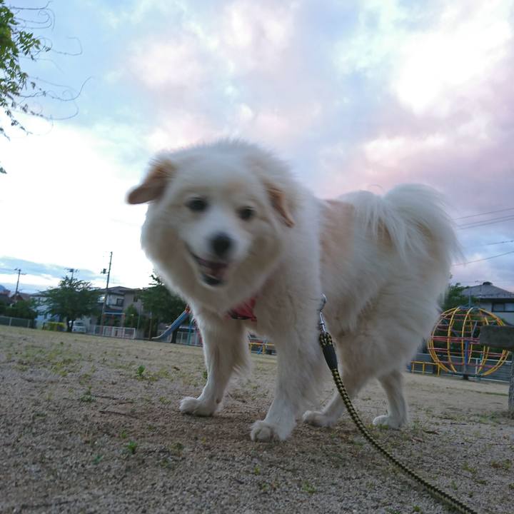 672d0985 2f3e 4fd6 b83c d054e0a62463