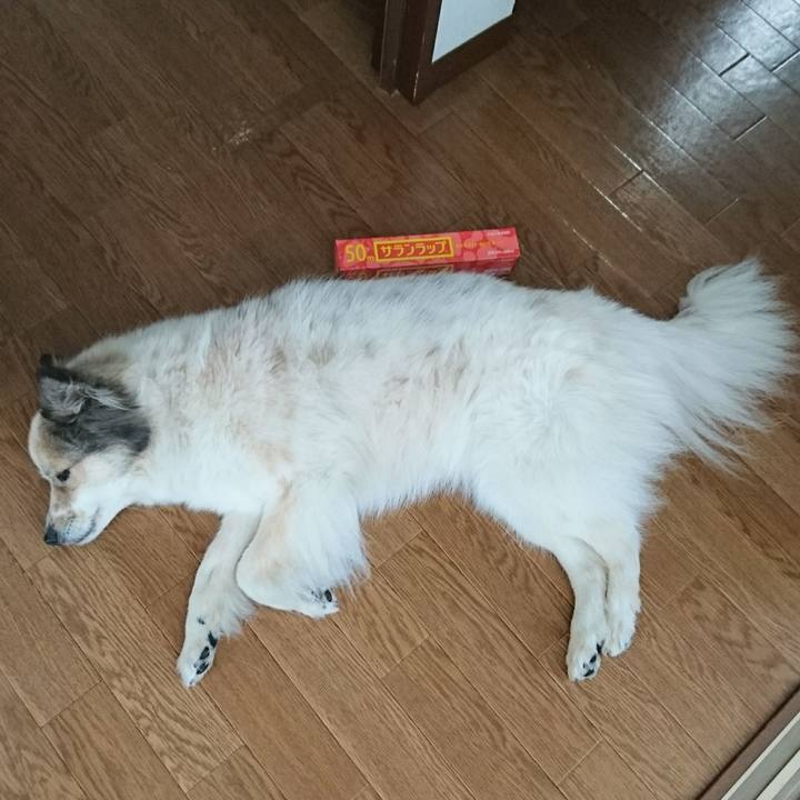 672d3f63 d8da 4a55 818b 0b5c08627ade