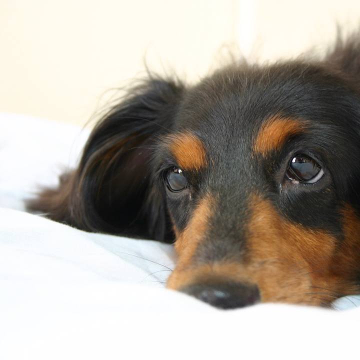 672d8237 16f6 4e71 bb2f 9c08eb5cb6fe