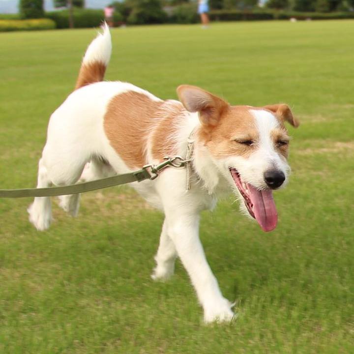 672da52d 298e 4c51 8695 052093d3891a