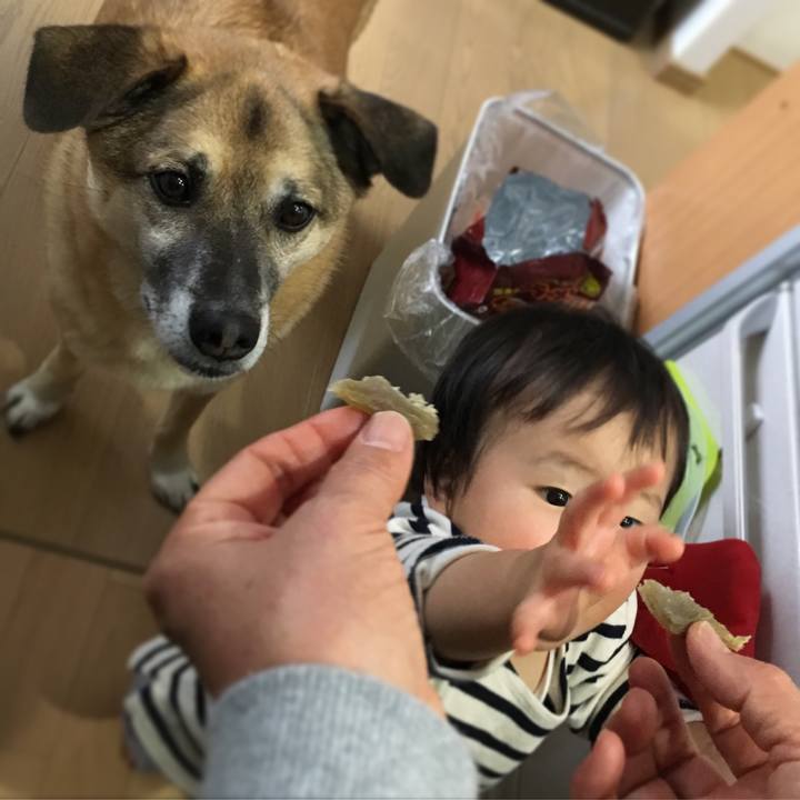 672dbd0a 2cc9 4c4a bc6d 2c8a2b530af5