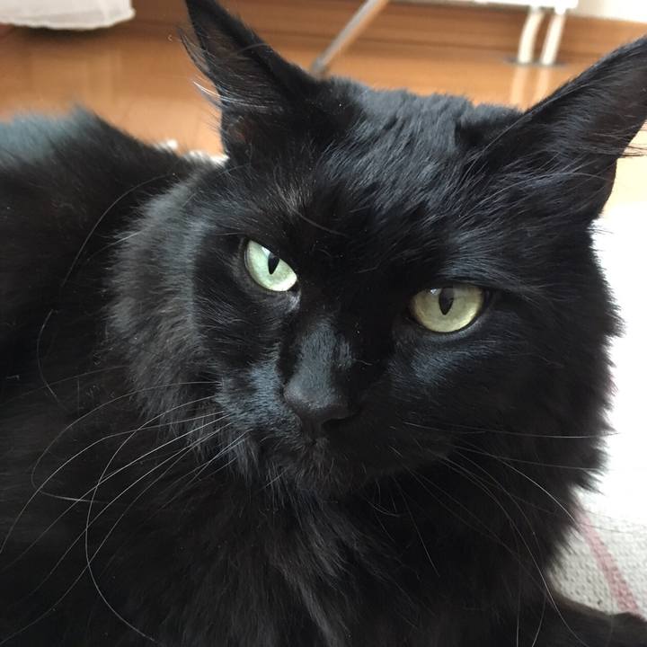 672ec153 2796 493e 871e b41dd5177bb4