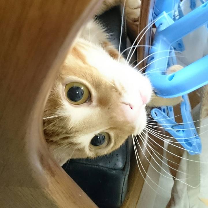 672f4803 ae92 4bdd b91c a977f6bfc388