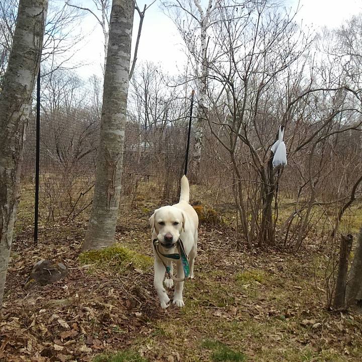 67300835 d064 46d0 b636 2f29ebb5b695