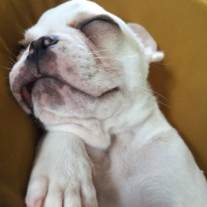 673045e2 5922 47f1 afe7 4d015d01d3fb