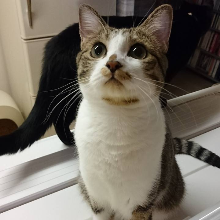 6730a622 f791 4365 8206 831f02965eed