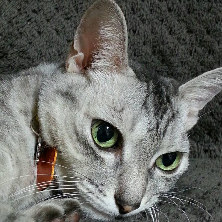 6730c3ca 404f 42ab 8889 9a27a70f45ca