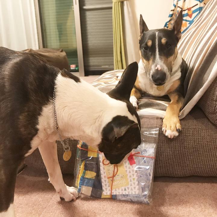 6730f9ba 5342 456d bf5a 86cd1edf5252