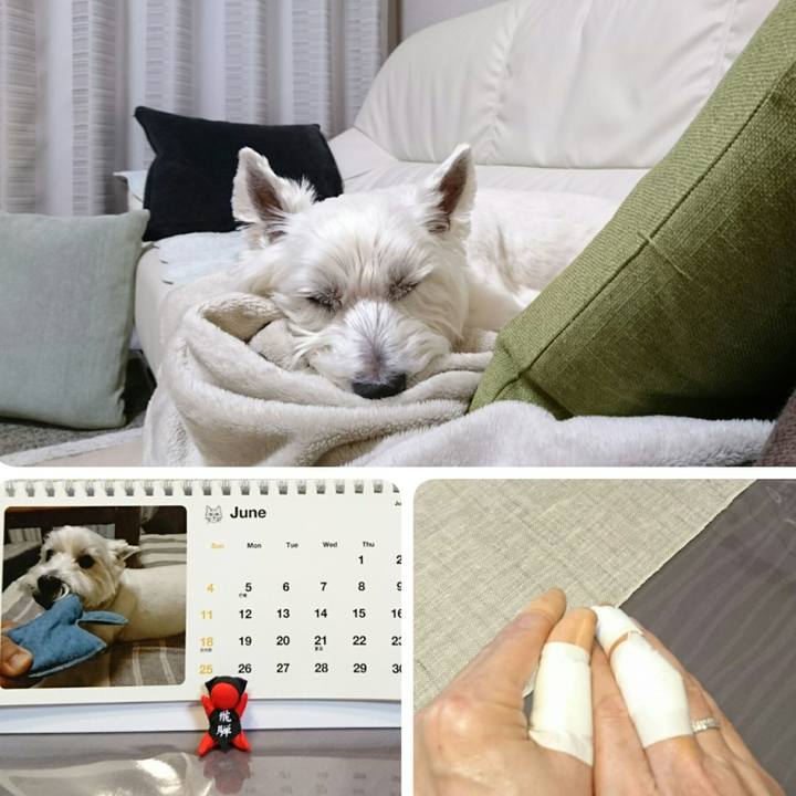 67312d9b f8c9 4379 9556 bec6811e6257