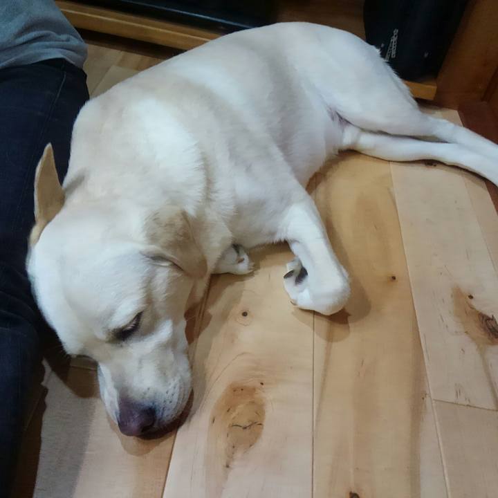 67318817 be0f 4456 978d 1720ad702cf7