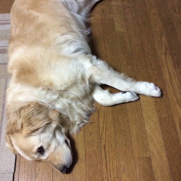 6731a92c 3696 43f5 94b7 9ef18cd13c64