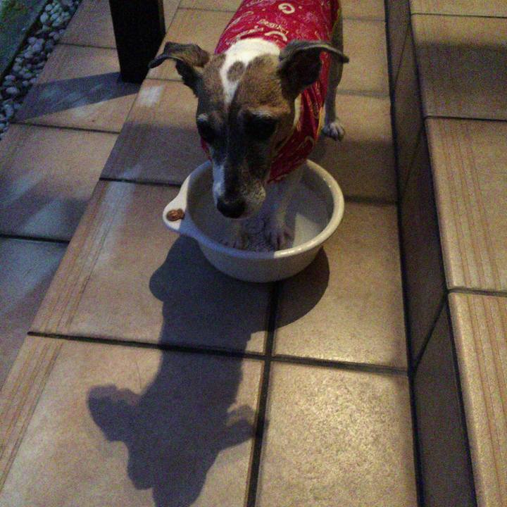 6732166d 78d0 4ed7 b48a 6cd3e3c84092